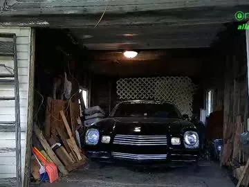 gravebabyxo – webcam model profile photo Image 18